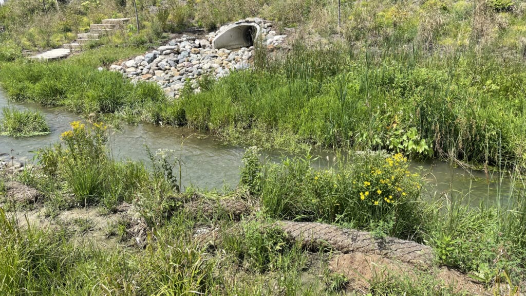 Grassy Branch At Grand Junction Park Stream Restoration Installation Preservation Project