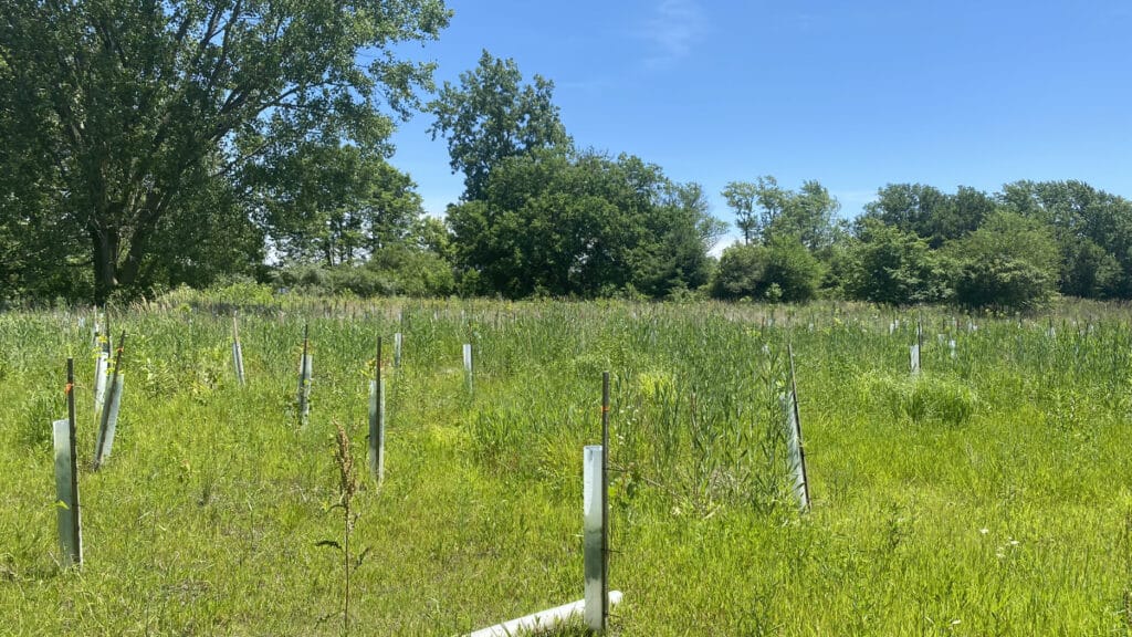 Hamilton County Crawford Wetland Mitigation Installation Project